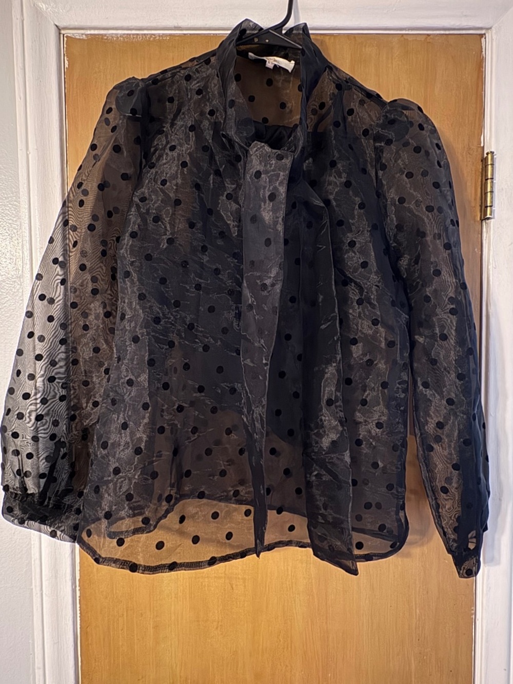 Sheer Blouse